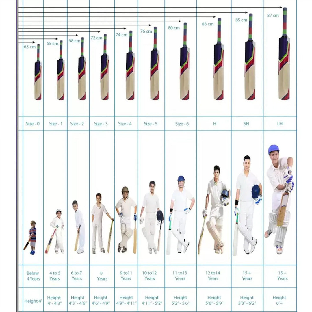 MRF Titan Premium Indian Willow Cricket Bat - SH