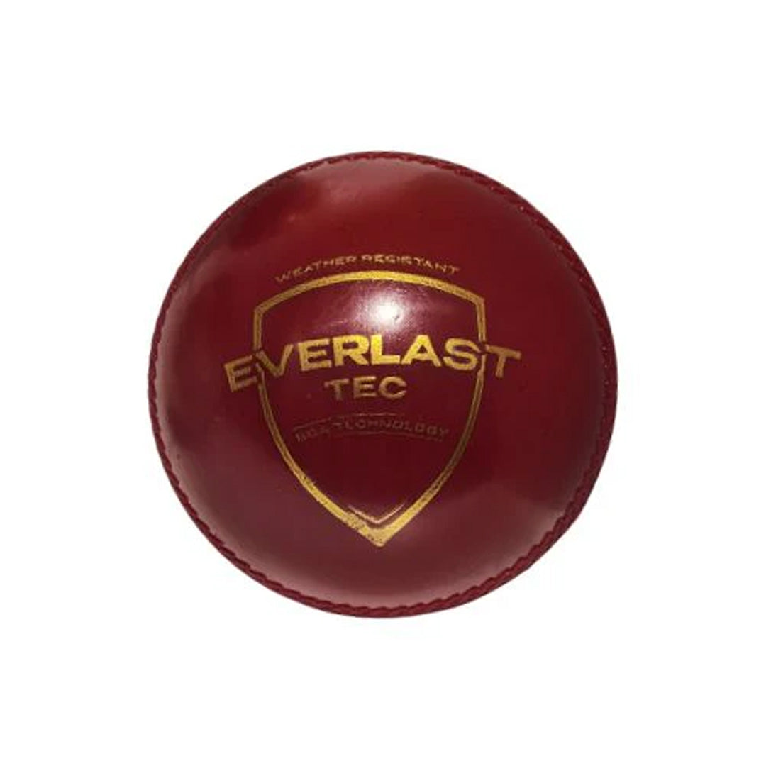 SG Everlast Tec Cricket Ball