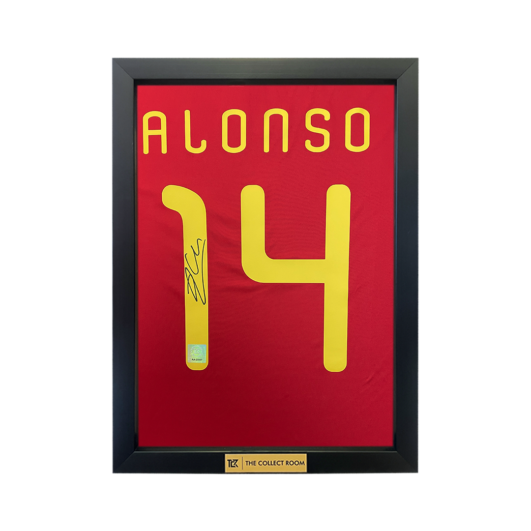 Xabi Alonso Back Signed Spain 2010 Home Shirt