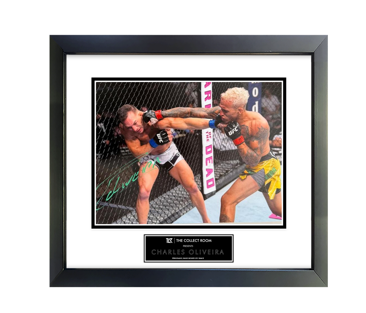 Charles Oliveira Signed KO 12x8  Image