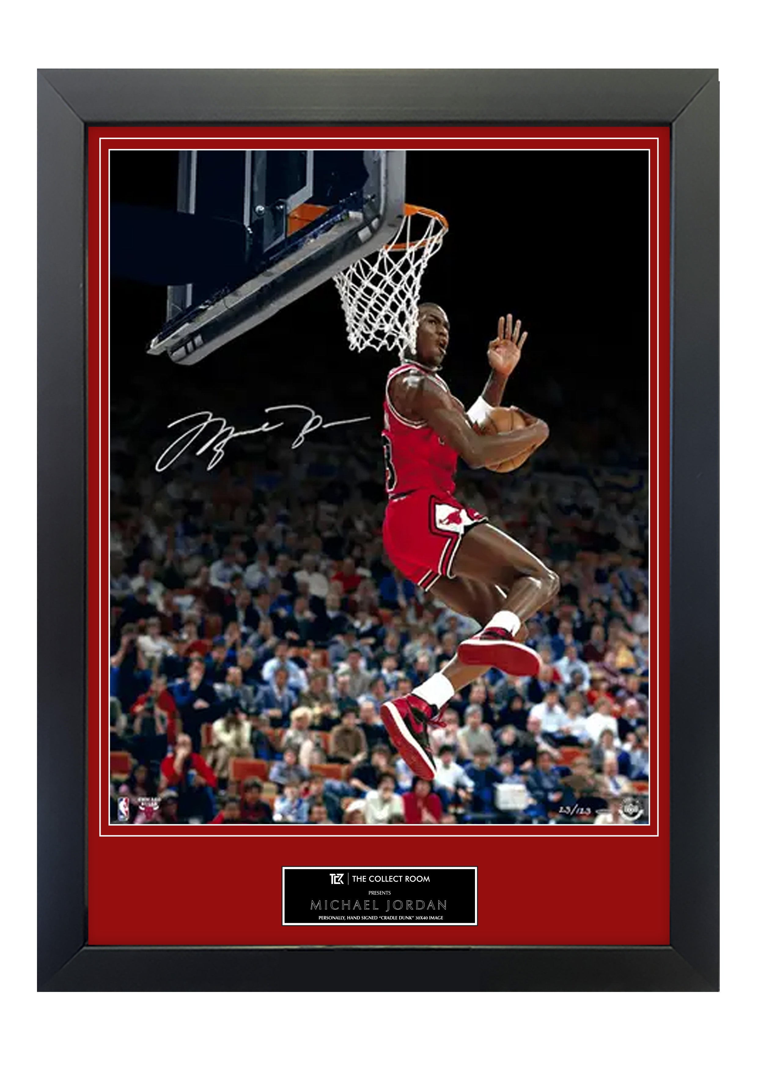 Michael Jordan Signed "Cradle Dunk" Image