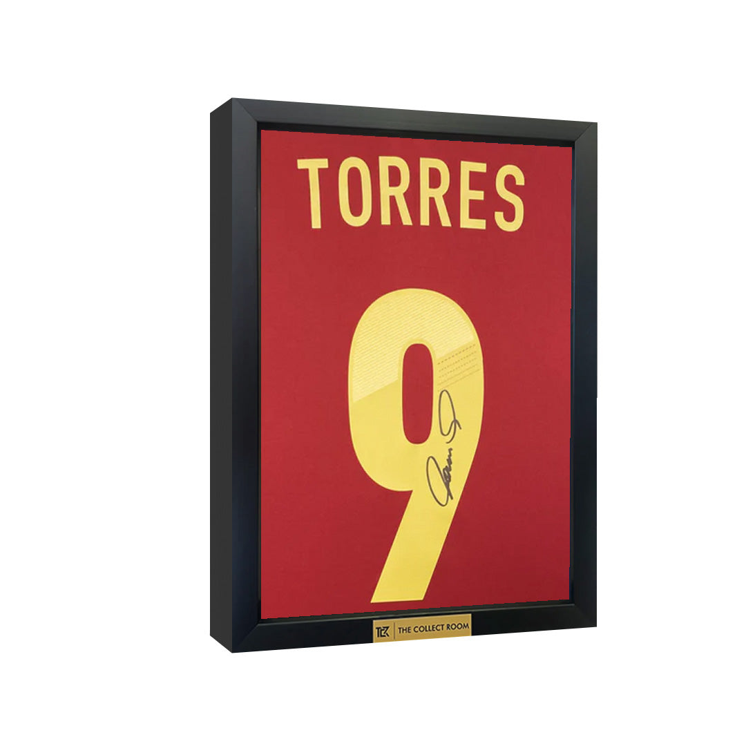 Fernando Torres Signed Spain Jersey 3D