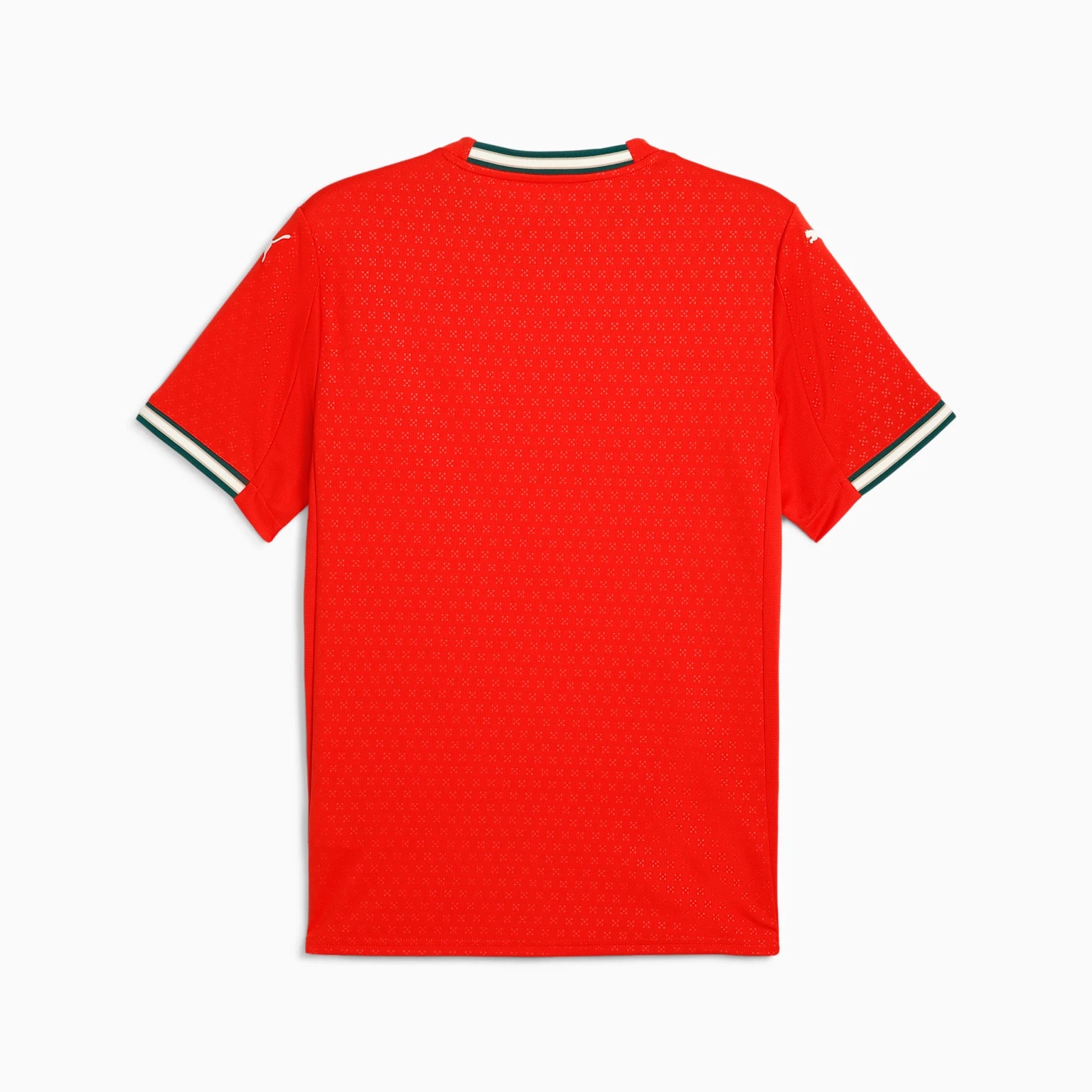 Portugal 2025 Home Jersey Men